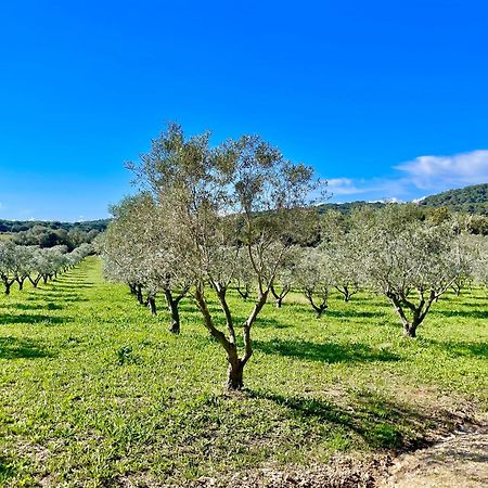 شقة Latitudes 43 بوركيرول المظهر الخارجي الصورة